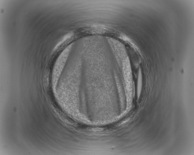 X0000081450501200701261916