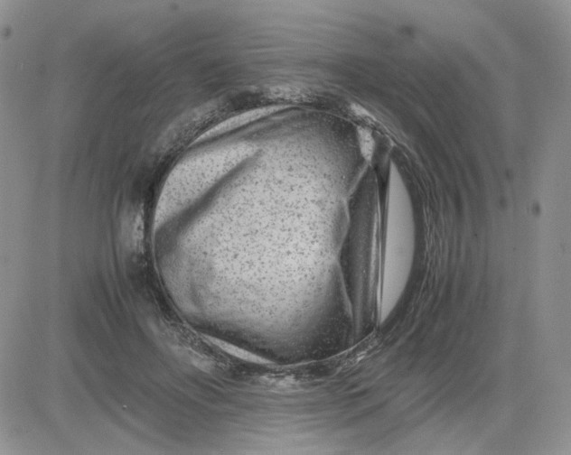 X0000081450502200701261916