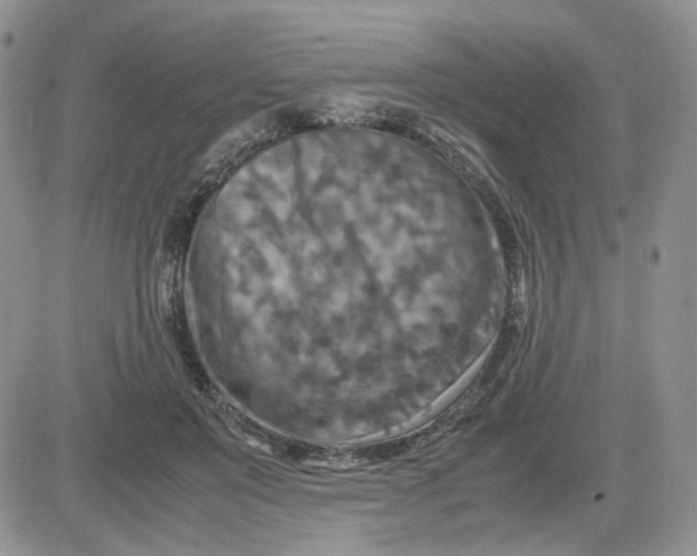 X0000081450503200701261916