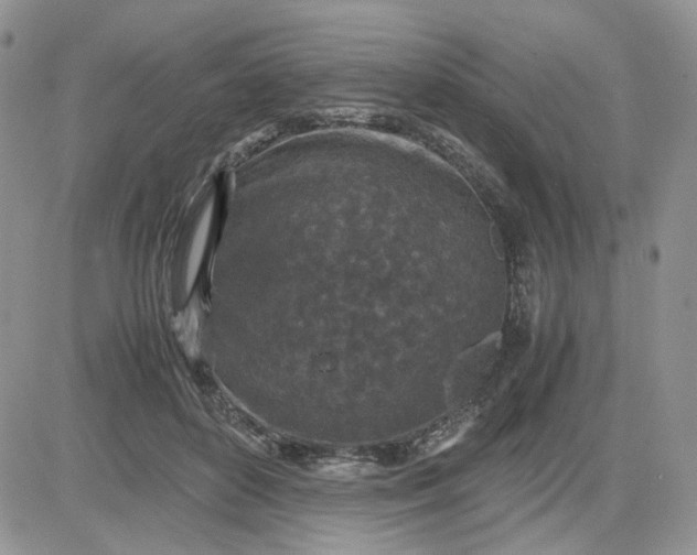 X0000081450504200701261916