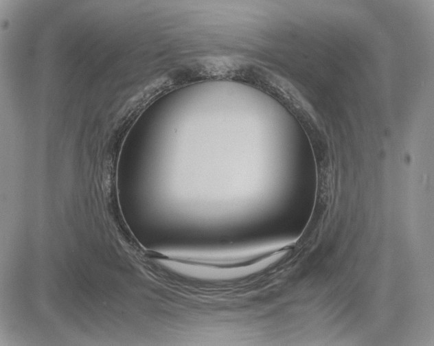 X0000081450505200701261916