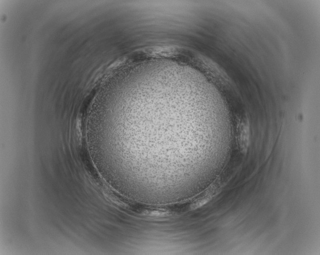 X0000081450506200701261916