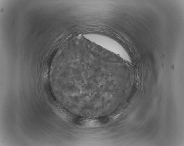 X0000081450507200701261916