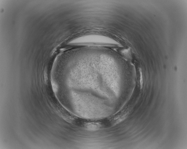 X0000081450508200701261916