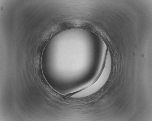 X0000081450509200701261916