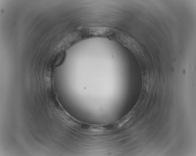 X0000081450510200701261916