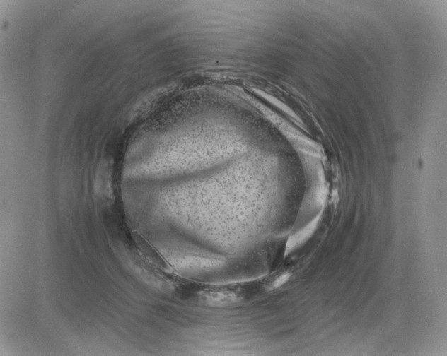 X0000081450512200701261916