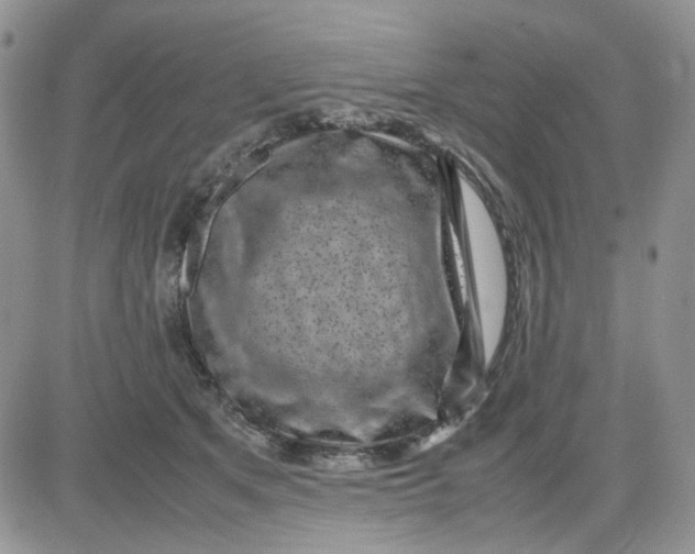 X0000081450513200701261916