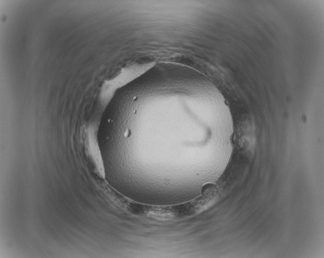 X0000081450515200701261916