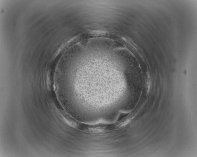 X0000081450516200701261916