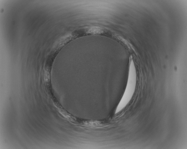 X0000081450517200701261916