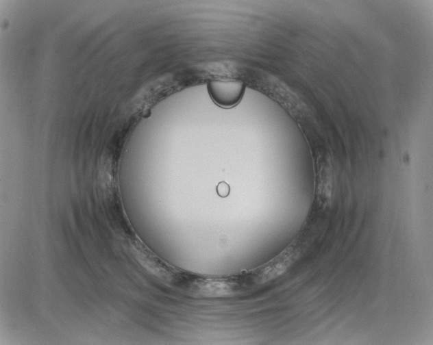 X0000081450518200701261916