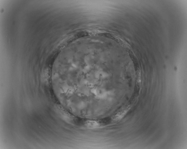 X0000081450519200701261916