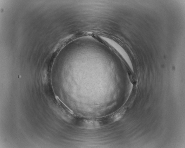 X0000081450520200701261916