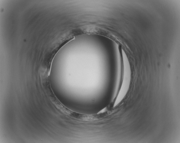 X0000081450521200701261916