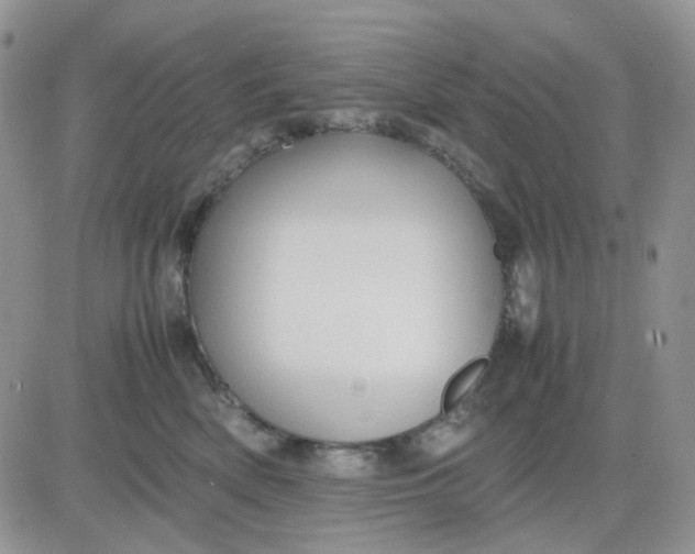 X0000081450522200701261916