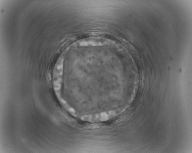 X0000081450523200701261916