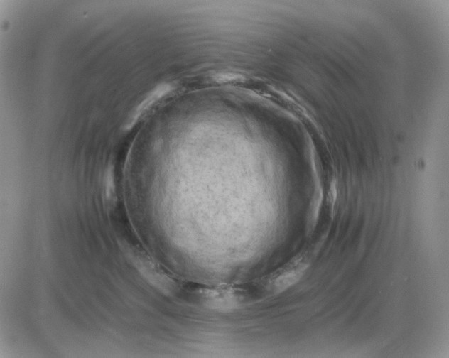 X0000081450524200701261916