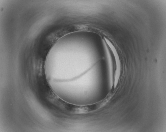 X0000081450525200701261916