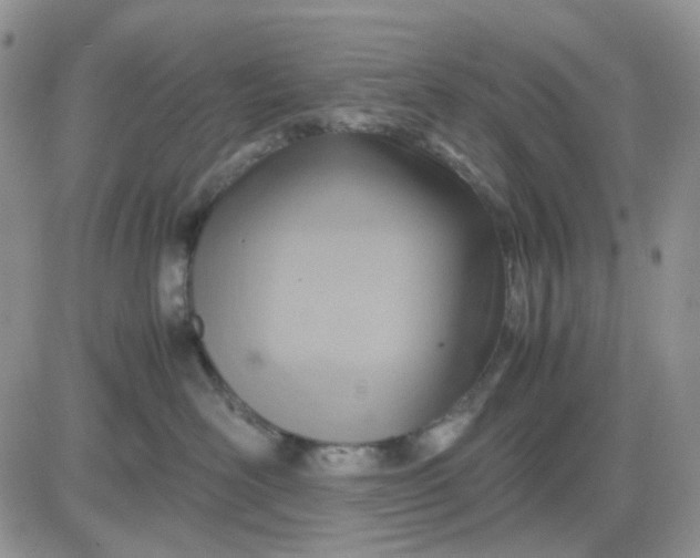 X0000081450526200701261916