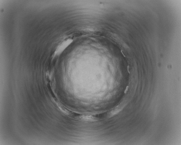 X0000081450528200701261916