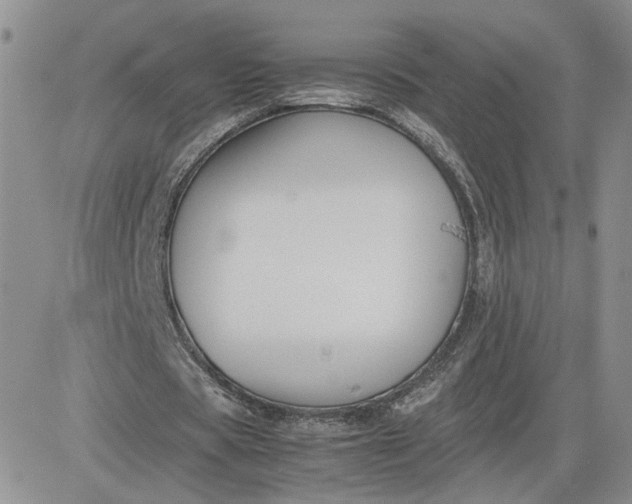 X0000081450529200701261915