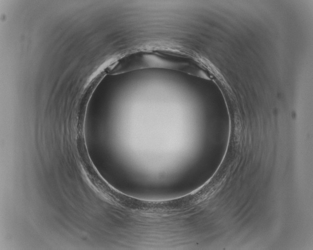 X0000081450530200701261915