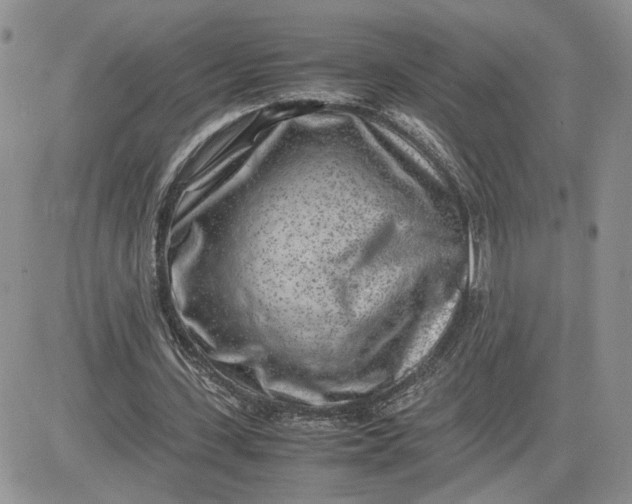 X0000081450531200701261915