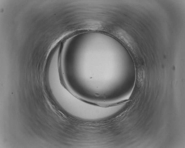 X0000081450532200701261915