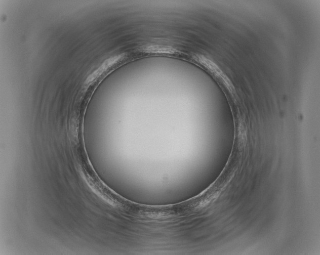 X0000081450533200701261915