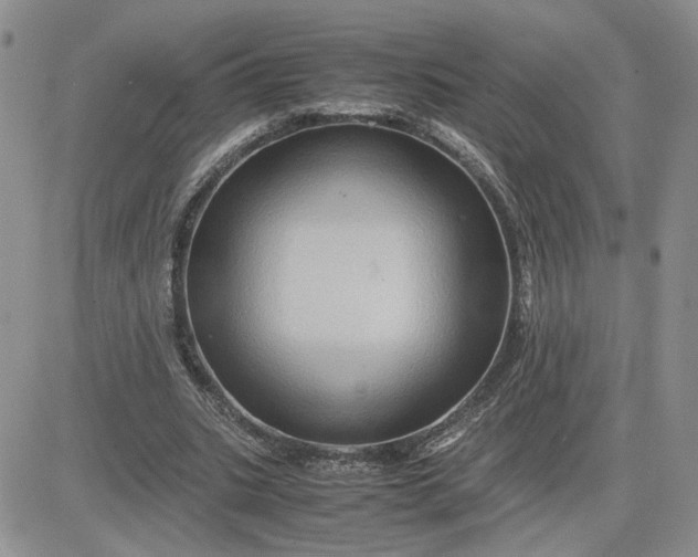 X0000081450535200701261915