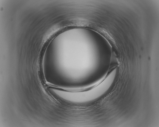 X0000081450536200701261915