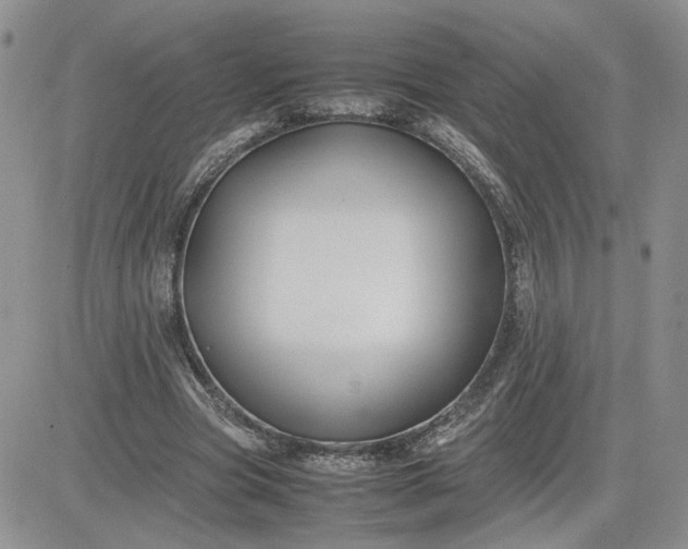 X0000081450537200701261915