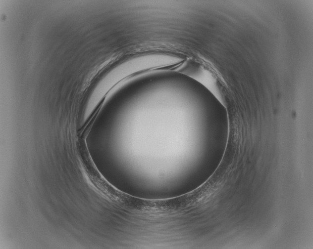 X0000081450538200701261915