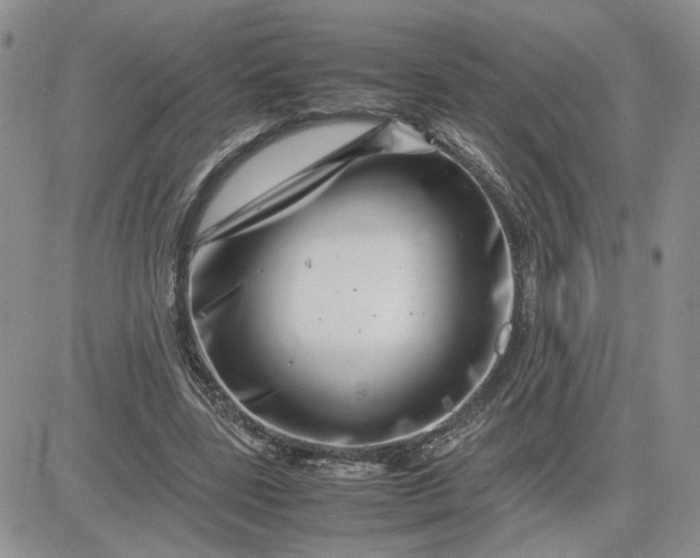 X0000081450539200701261915