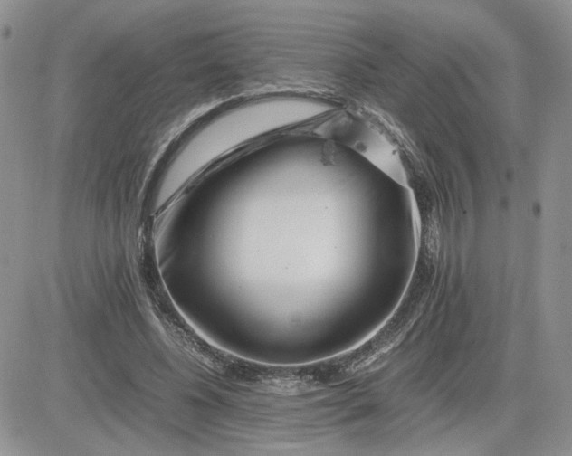 X0000081450540200701261915