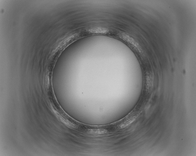 X0000081450541200701261915