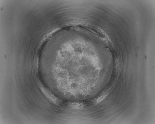 X0000081450542200701261915