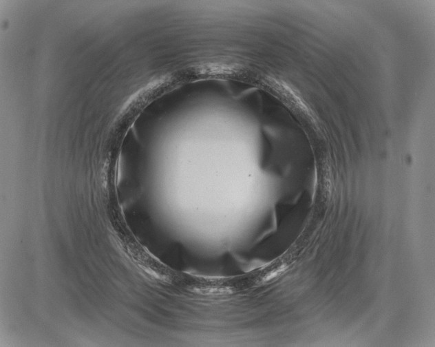 X0000081450543200701261915