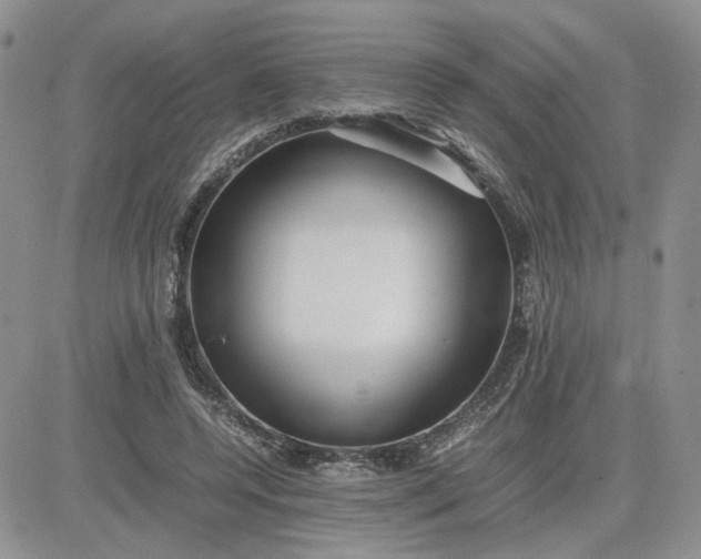 X0000081450544200701261915