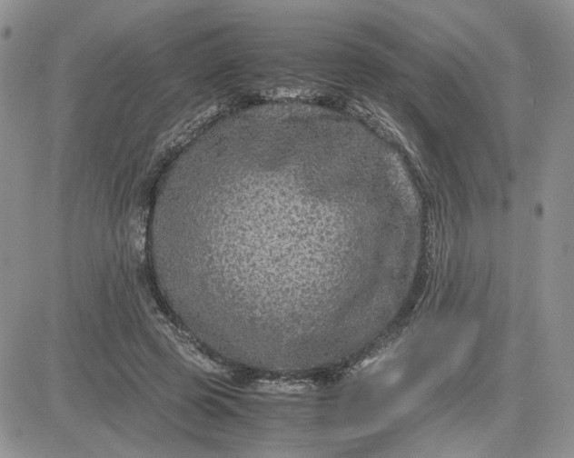 X0000081450545200701261915