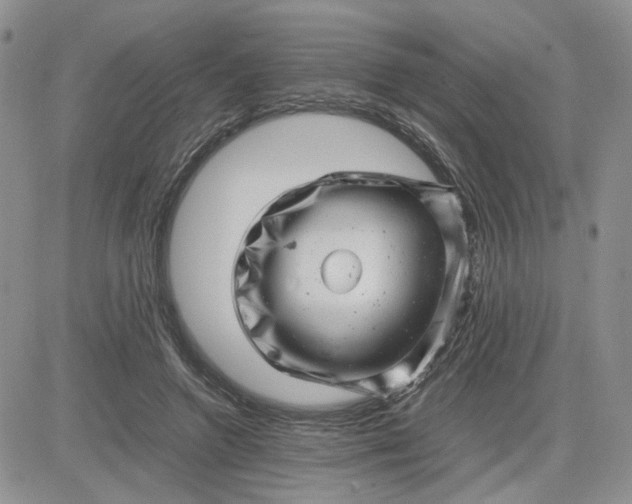 X0000081450546200701261915