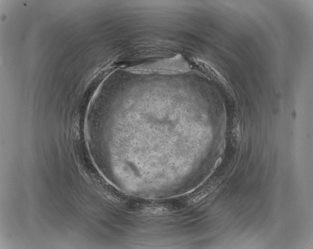 X0000081450547200701261915