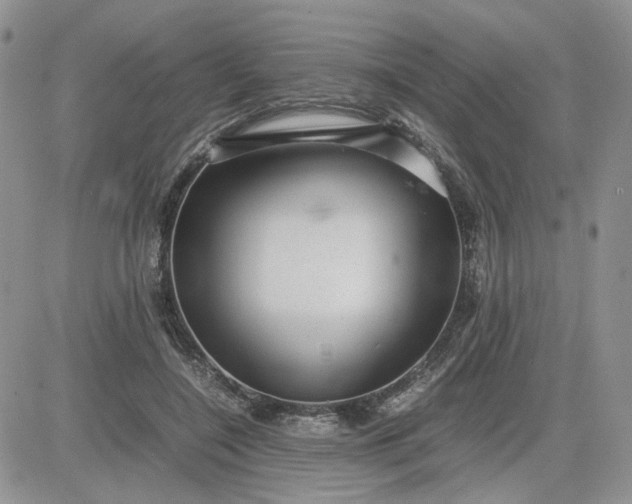 X0000081450548200701261915