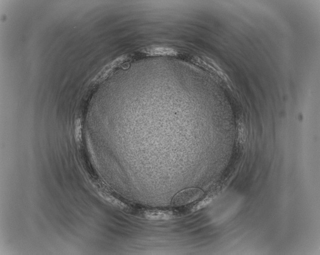 X0000081450549200701261915