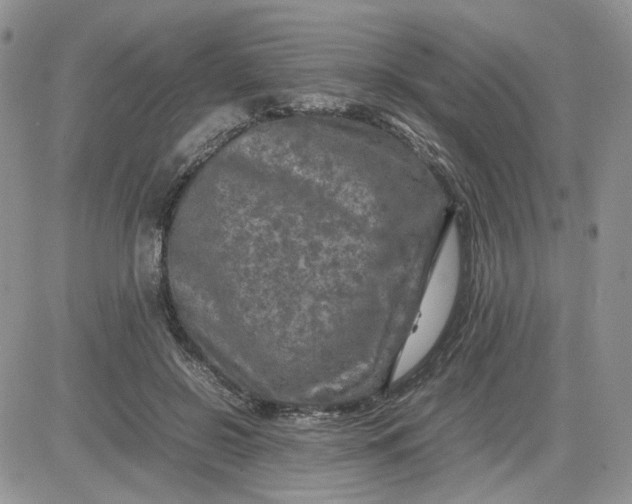 X0000081450550200701261915