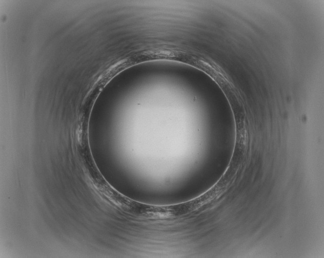 X0000081450552200701261915