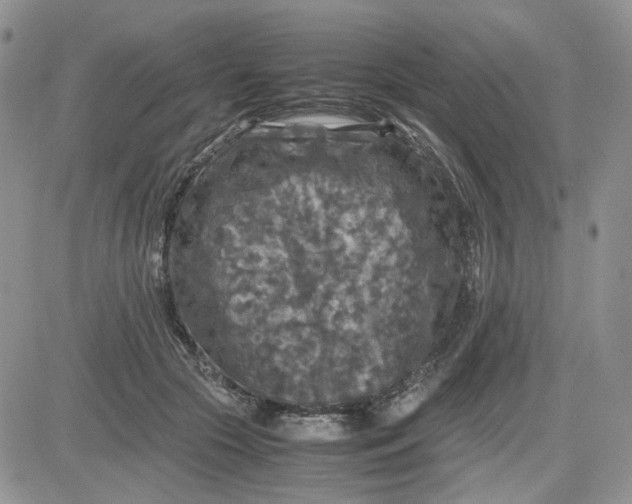 X0000081450553200701261915