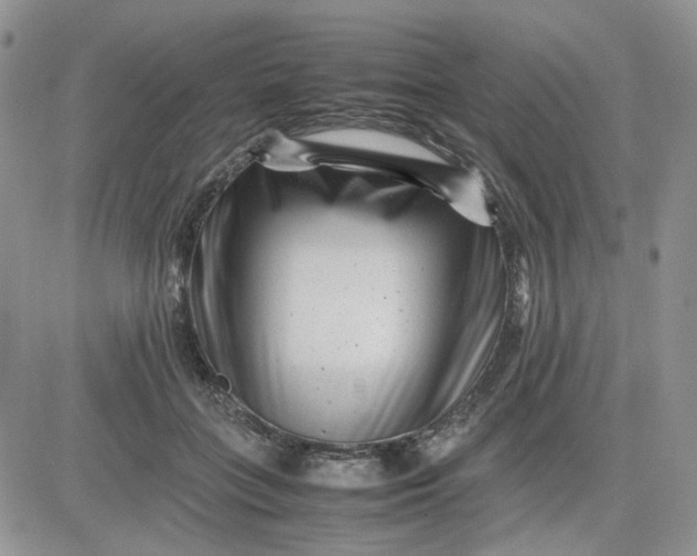 X0000081450555200701261915