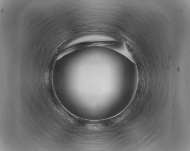 X0000081450556200701261915